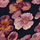 Pansy