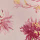Chrysanthemum