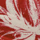 Tahitian Lily