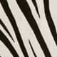 Zebra Haircalf