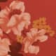 Coral Bloom