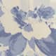 Larkspur