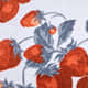 Strawberry Jam