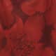 Carnelian