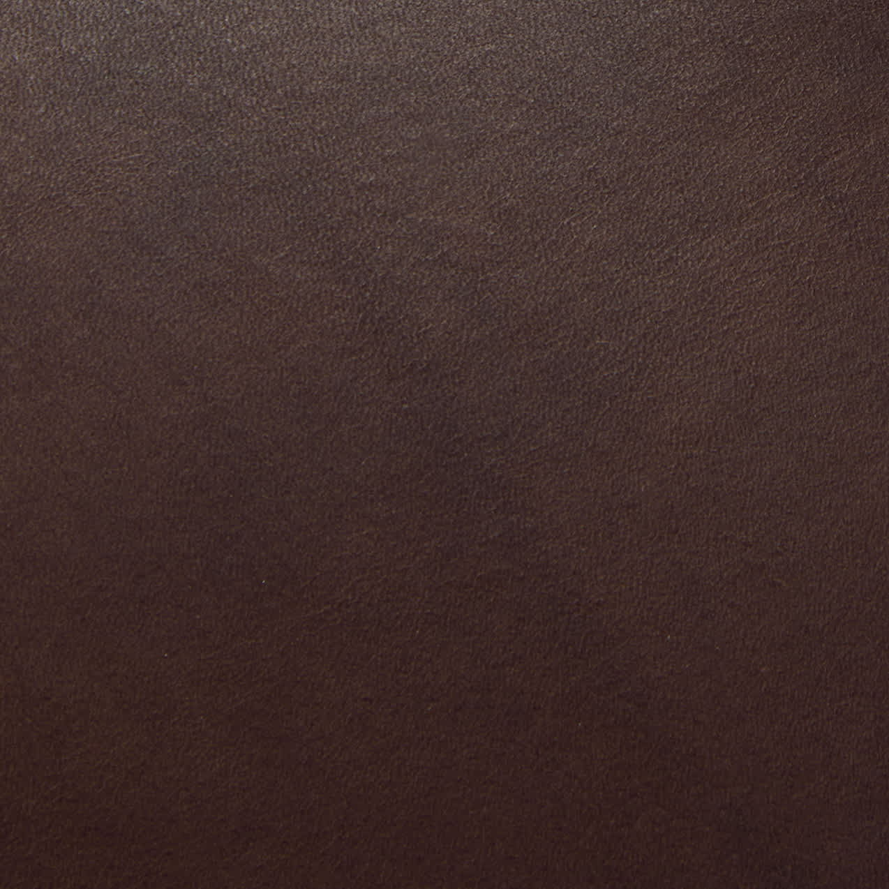 Cuir expresso