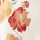 Climbing Rose
