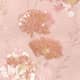 Apricot Blush