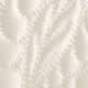 Satin Fior Di Latte
