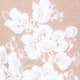 Ivory Bloom Lace