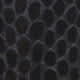 Black Snake
