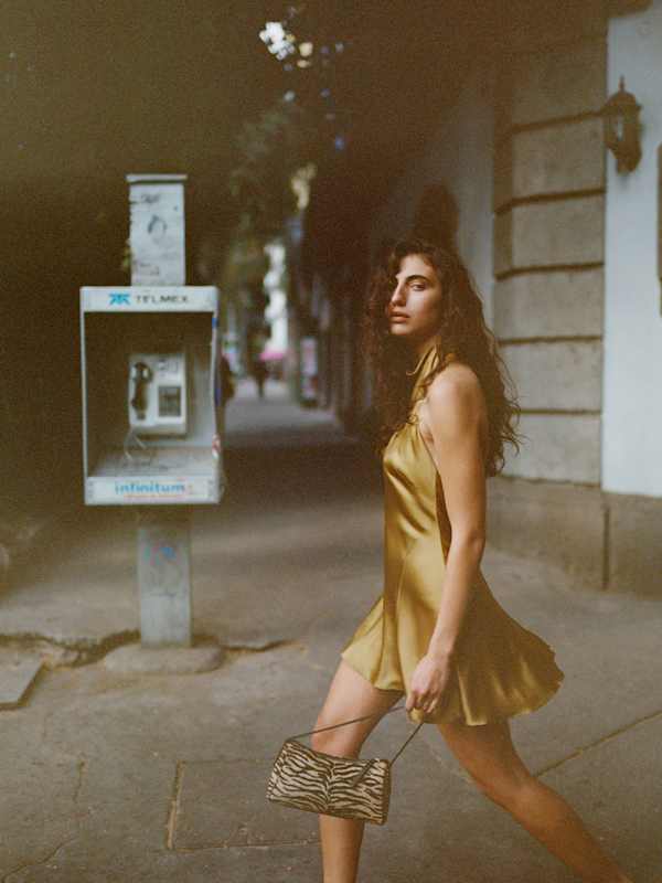 Roy Silk Mini Dress - Ginger