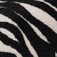Noir Blanc Zèbre