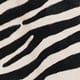 Zebra Haircalf