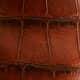 Brown Croc-effect