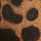 Leopard Haircalf