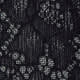 Dentelle noire