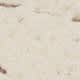 Fior Di Latte