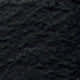 Black Eel