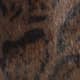Leopard Fur