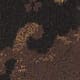 Onyx Tapestry