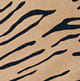Tan Tiger
