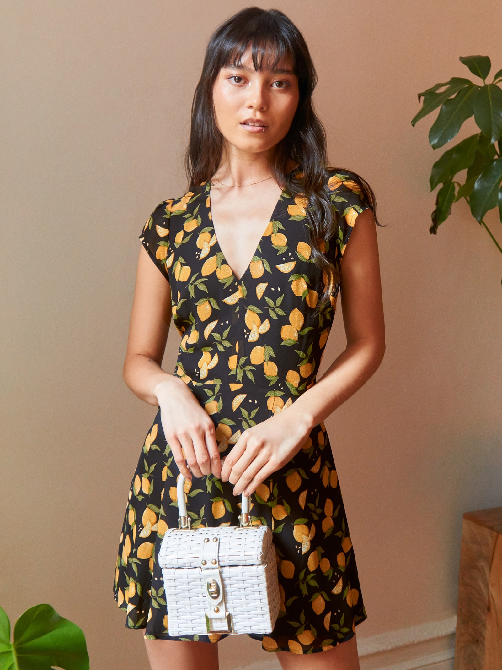 Deven Dress - Reformation