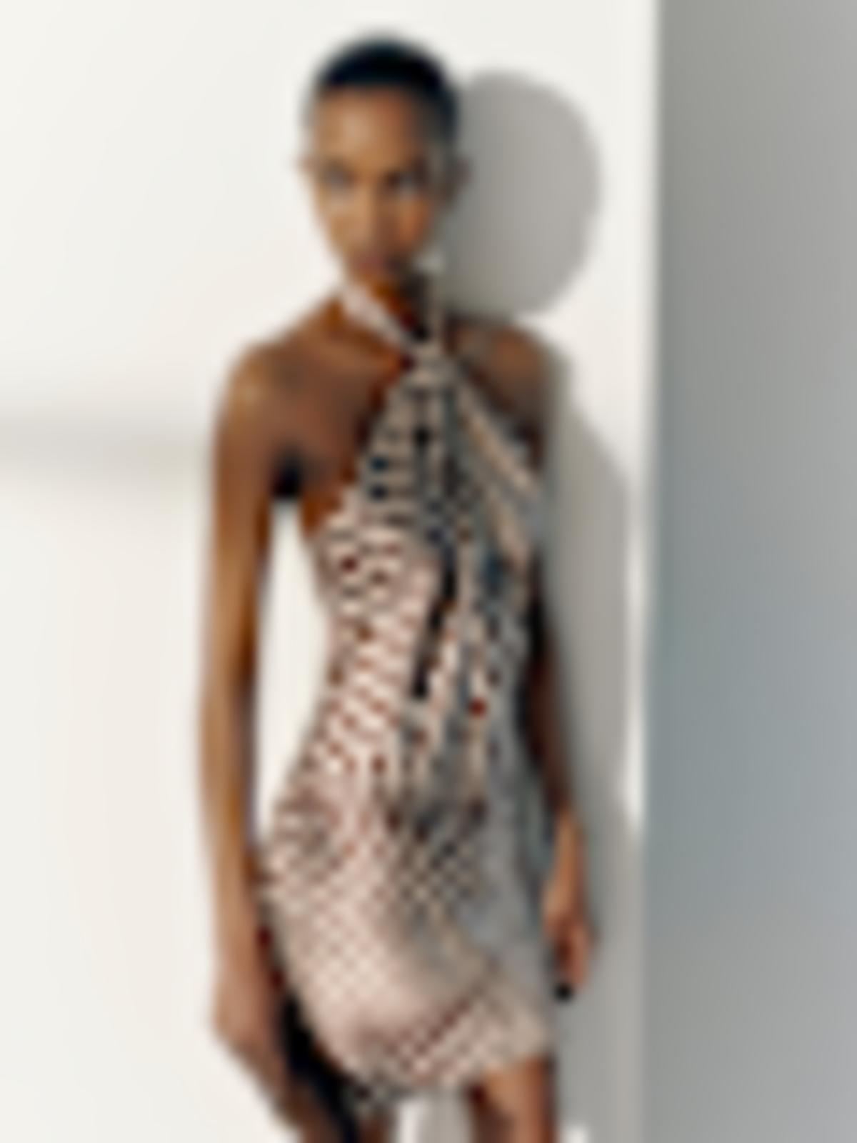 Opaline Silk Dress - thumbnail 7