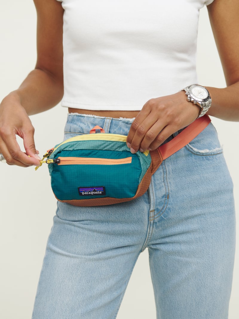 Patagonia Mini Hip Pack - Sustainable Accessories | Reformation