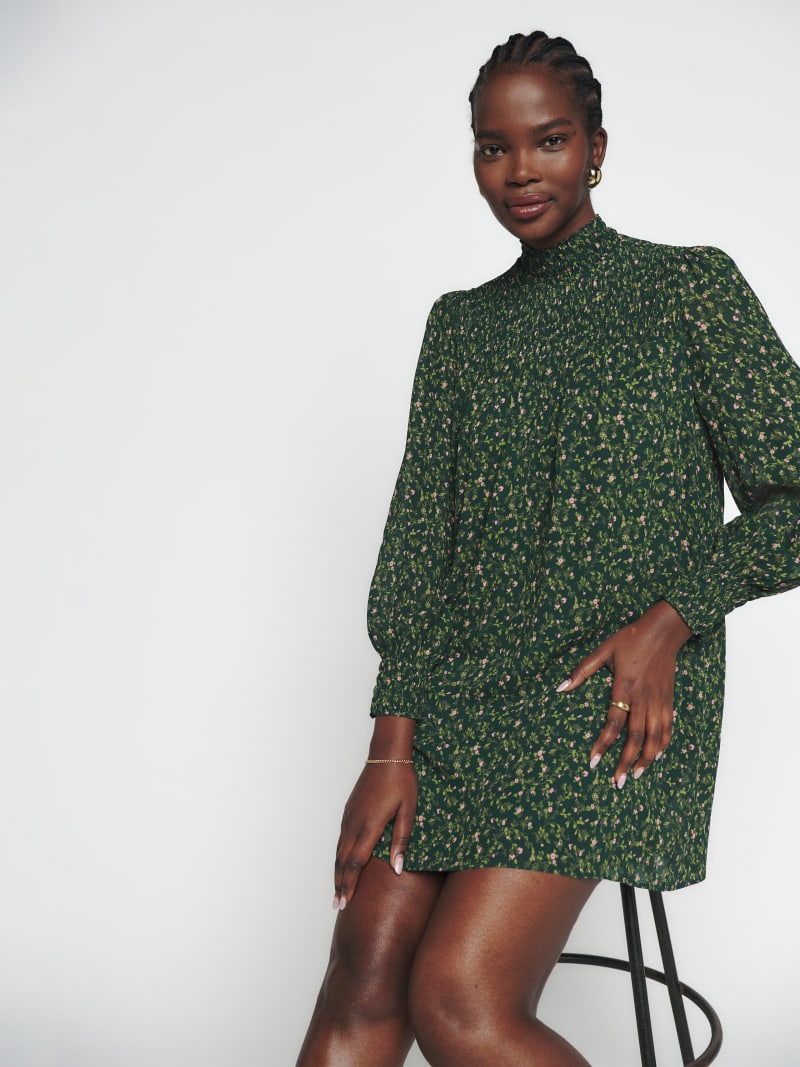 Brandi Dress - Long Sleeve Mini | Reformation