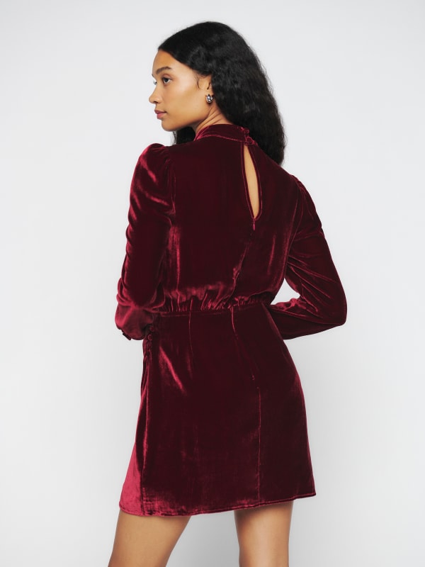 Evora Velvet Dress