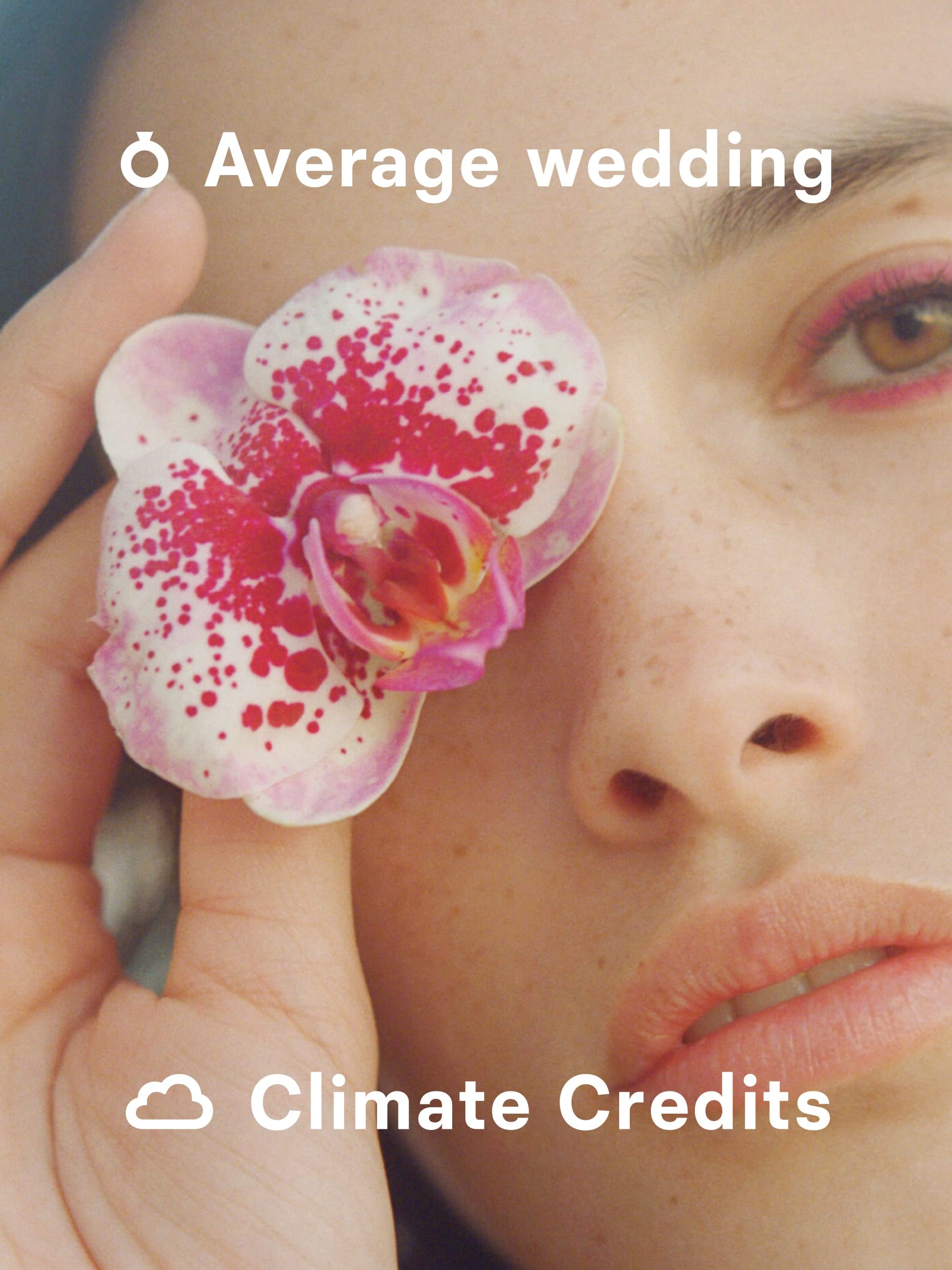 Average Wedding Climate Credit, image 1