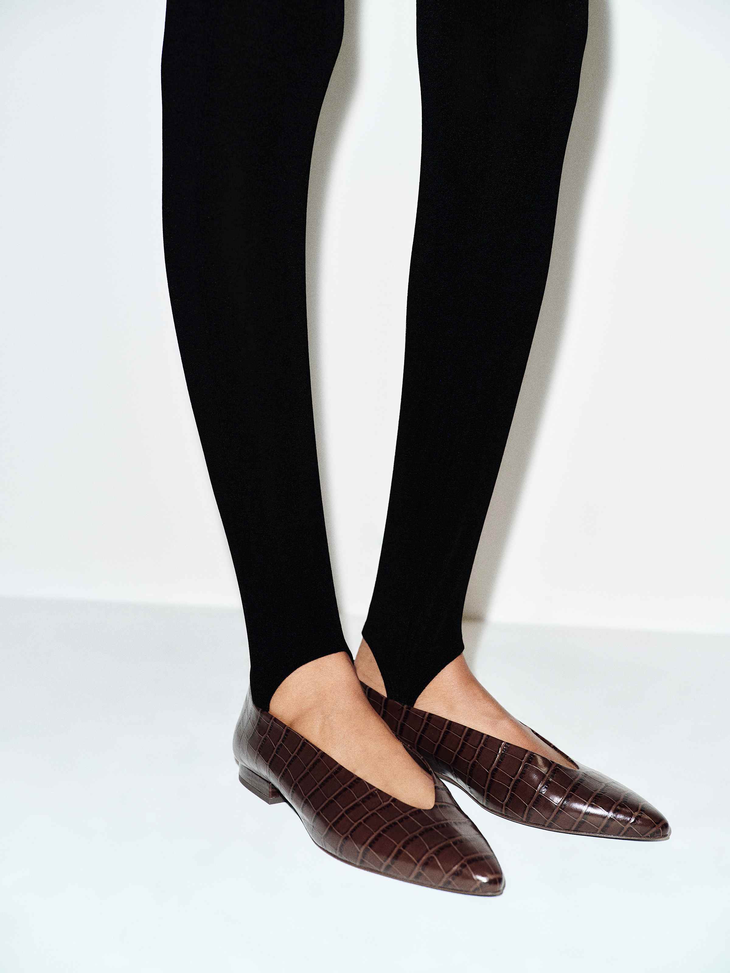 Calista Flat - thumbnail 2