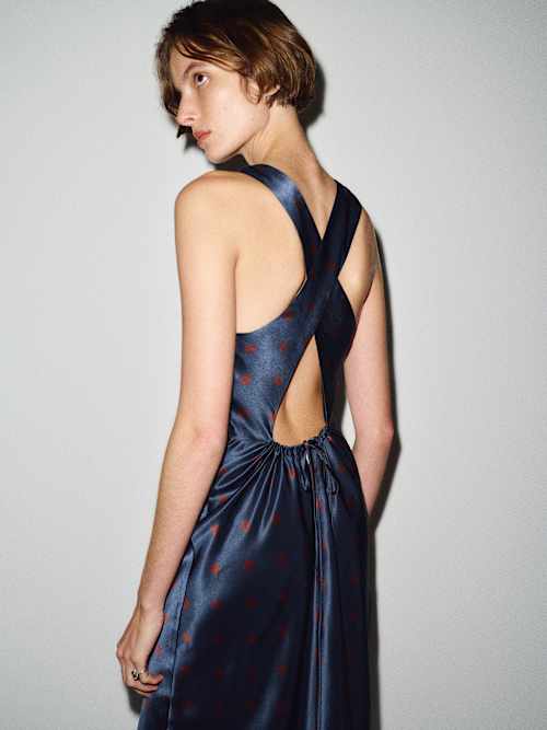 Anaiis Silk Dress