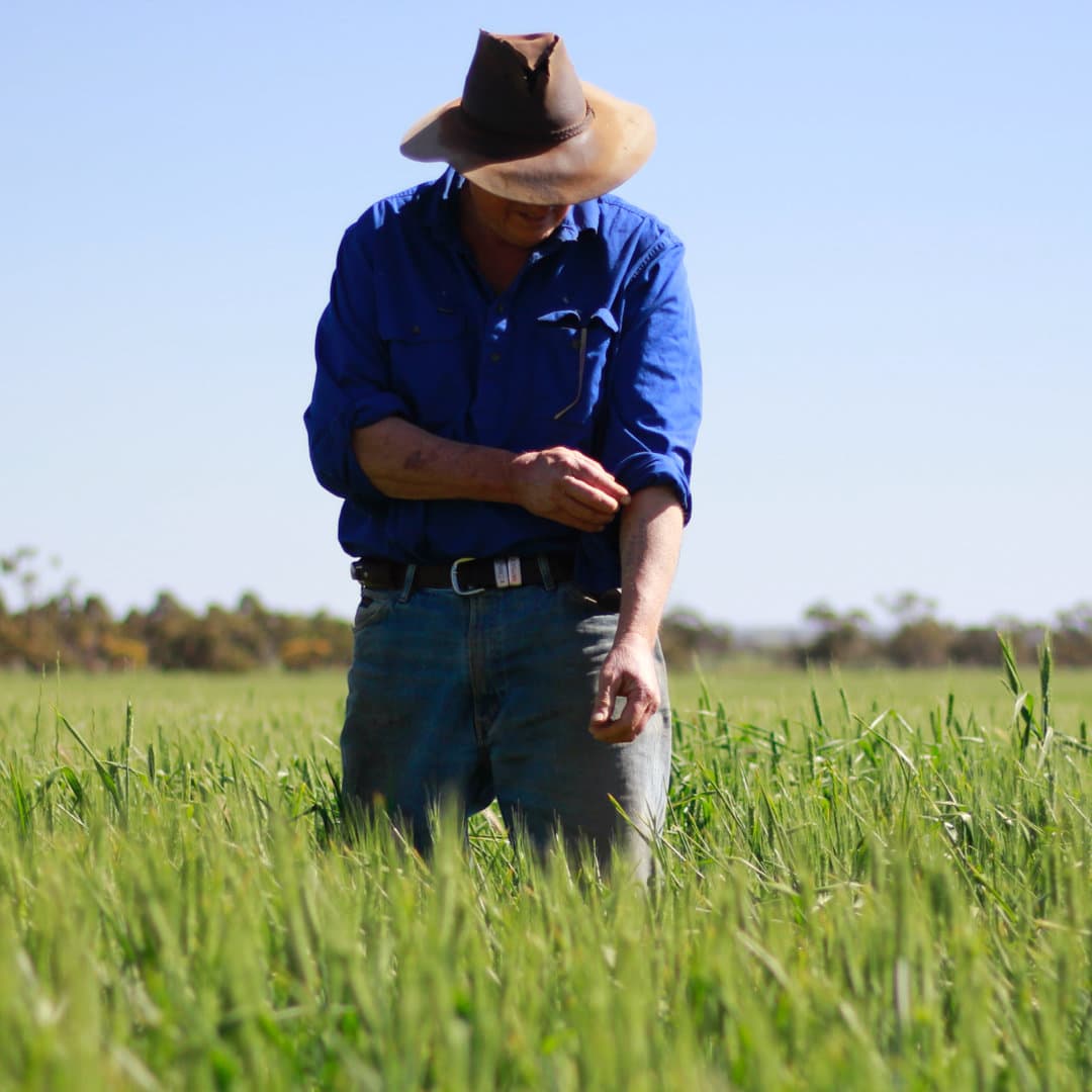 farm-australia