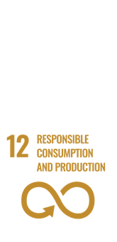 12 sdg