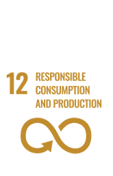 12 sdg copy
