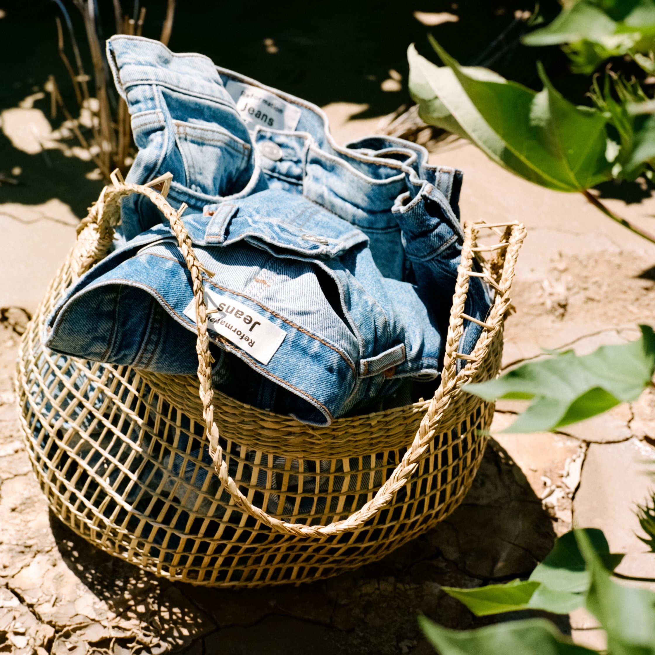 FibreTrace-Collection