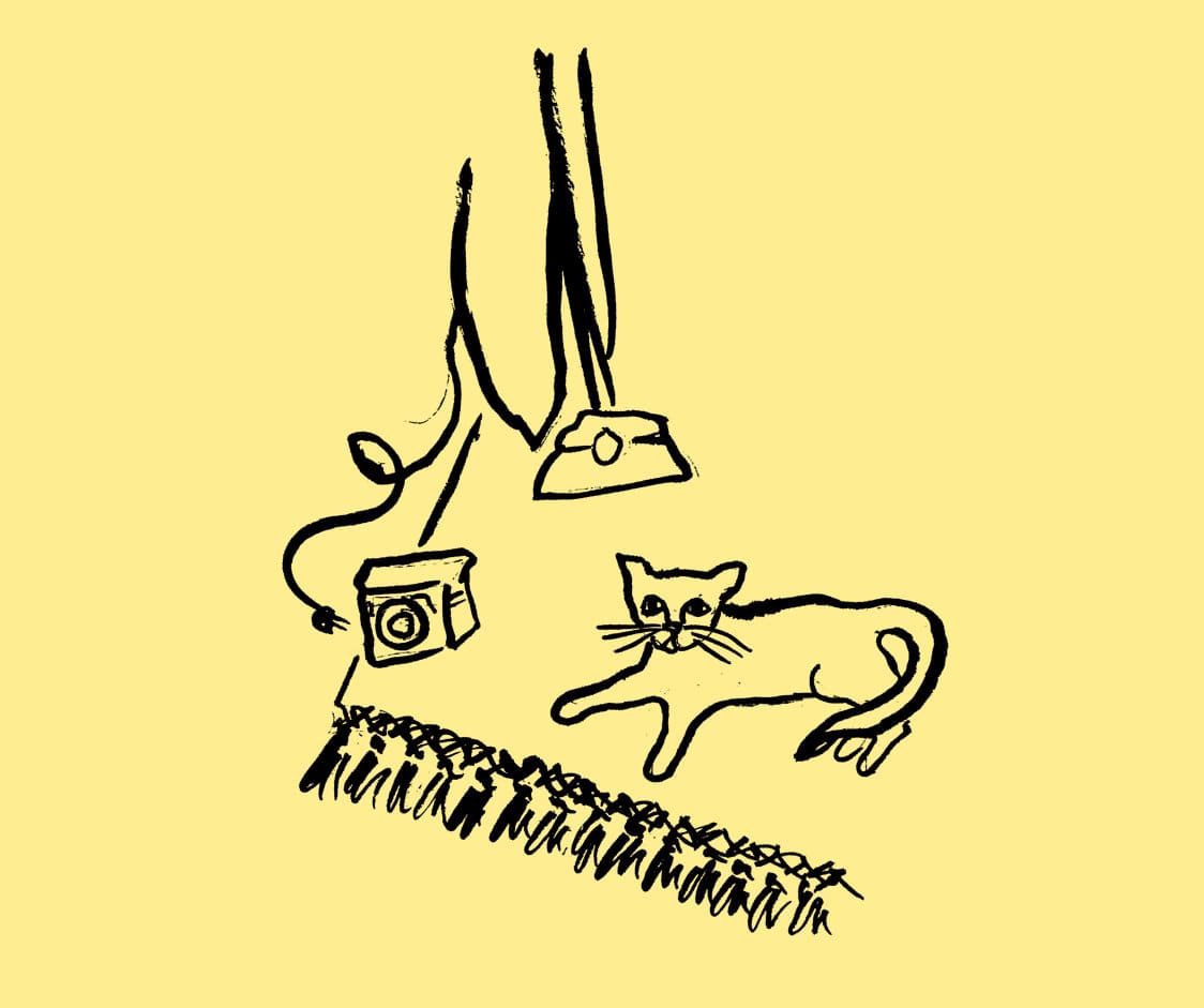 vacuuming tips for pet odor