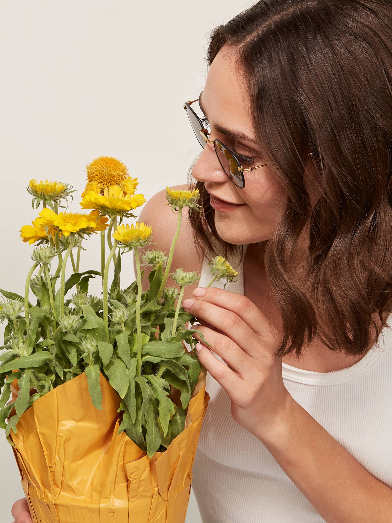 Krewe X Reformation Ward Sunglasses Reformation