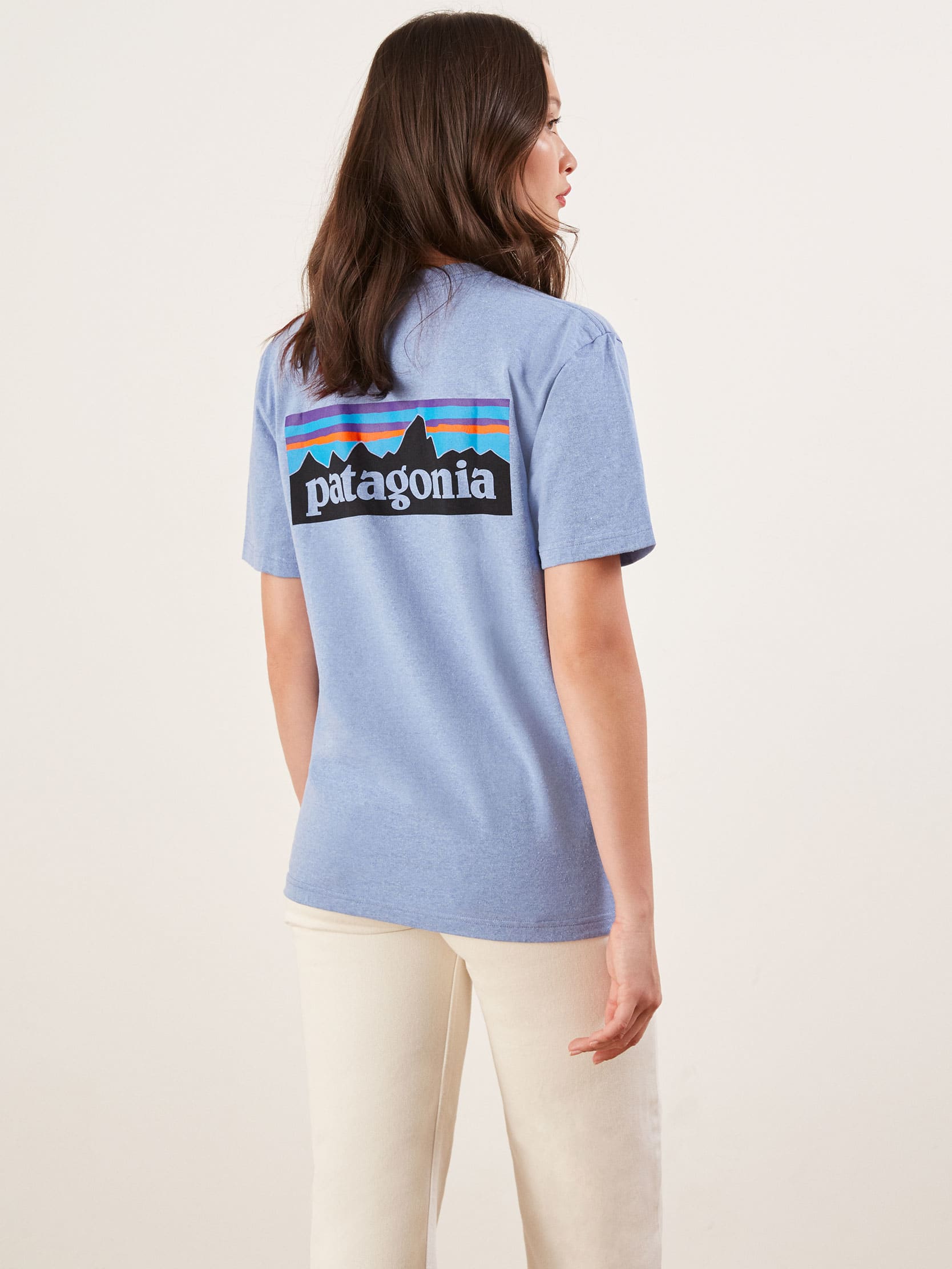 patagonia tee hk