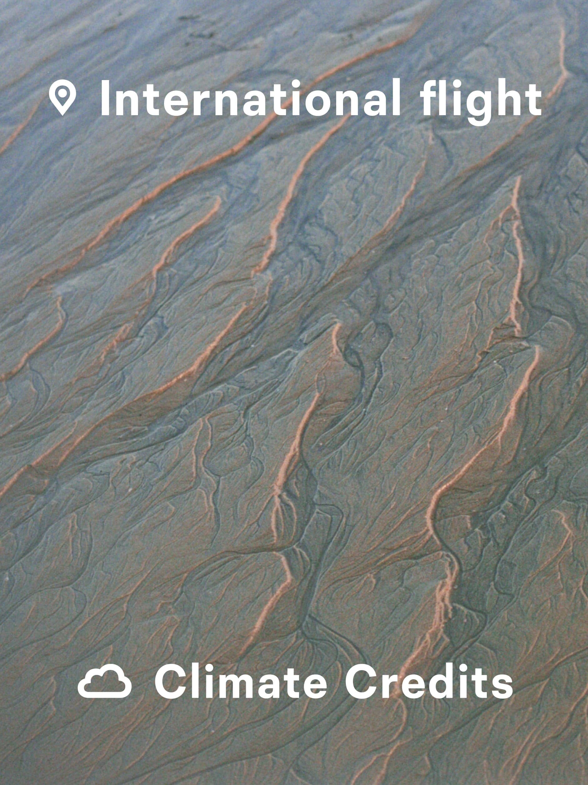 Assorted International Flight Climate Credit