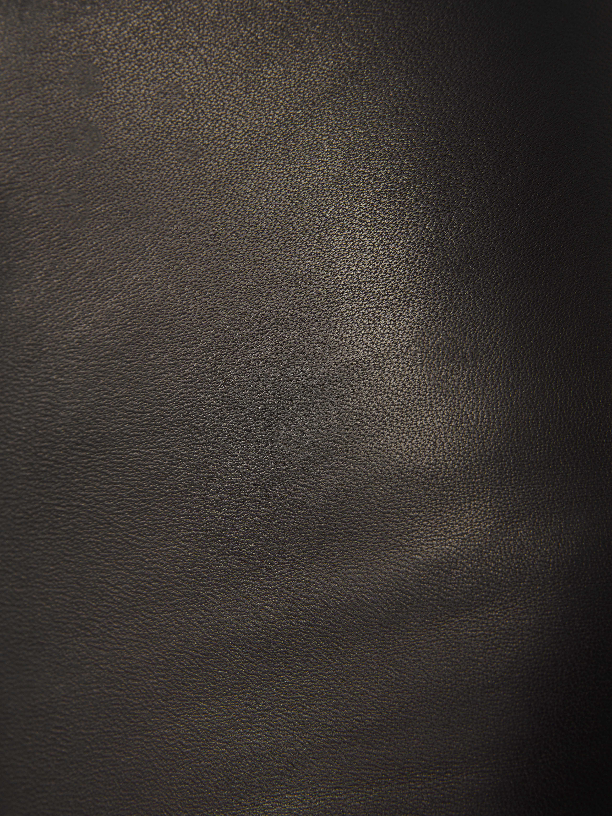 Black Veda Leather Pant