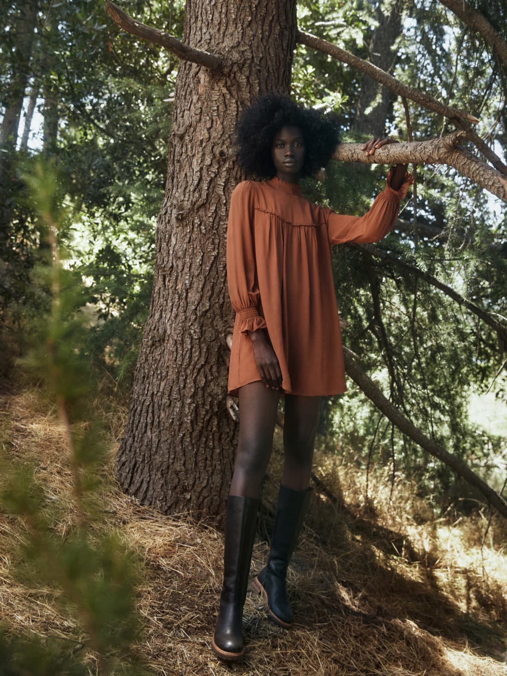 Jourdan Dress Reformation