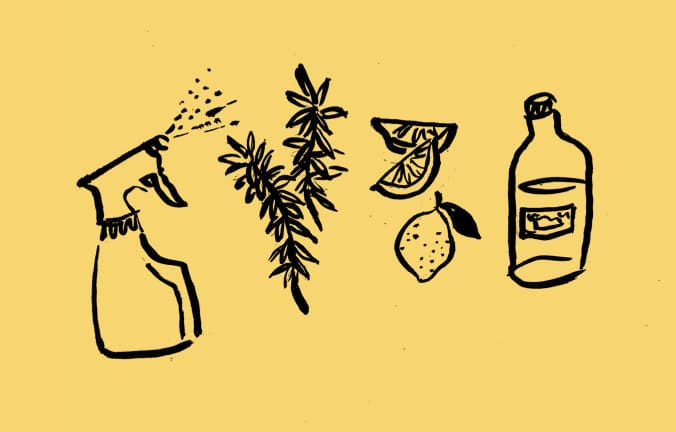 cleaning spray bottle