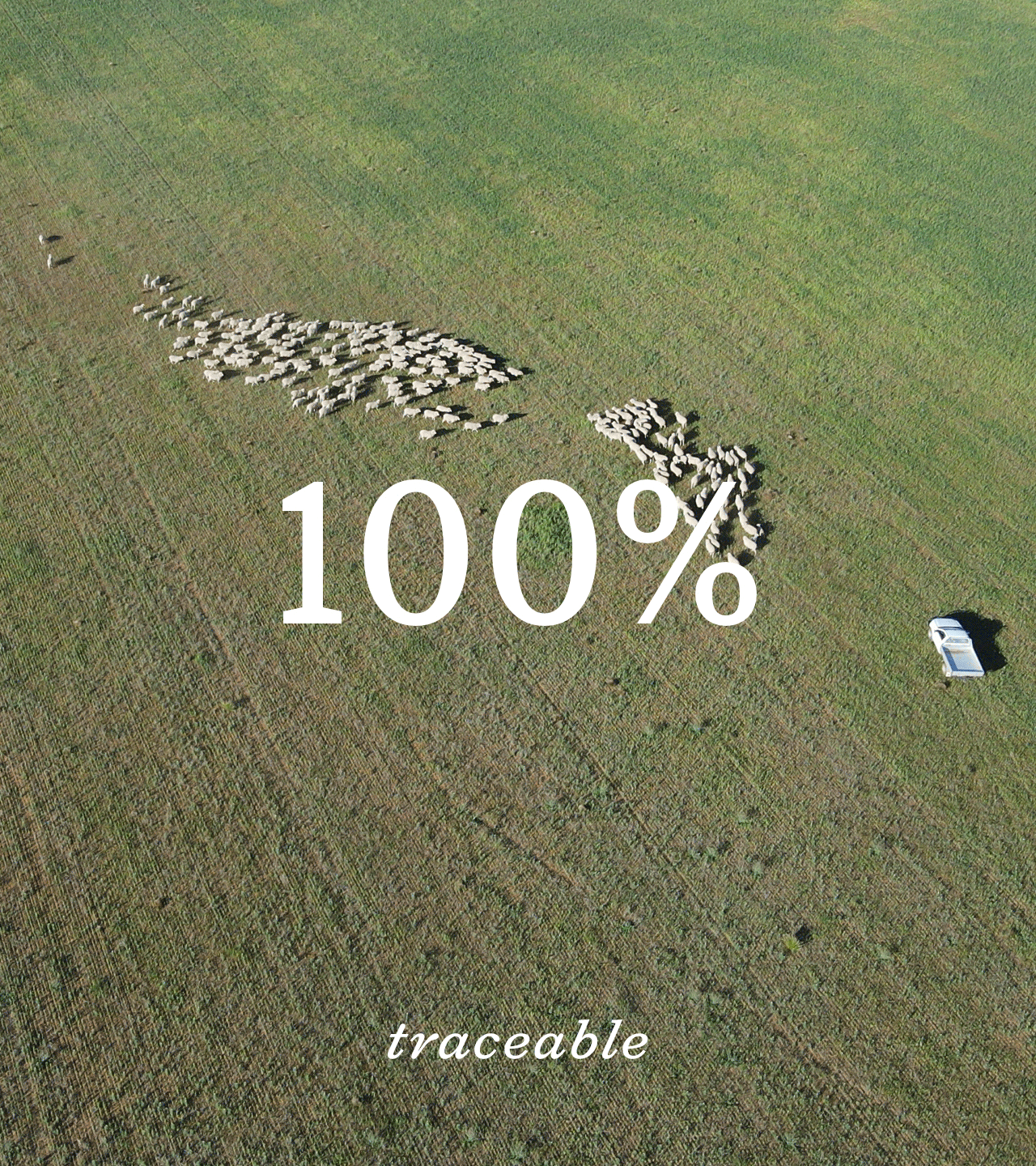 100-nativa